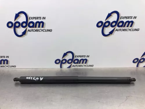 Gasdemper rechts-achter-8091978