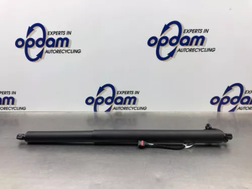 Gasdemper rechts-achter-