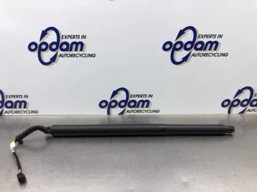 Gasdemper rechts-achter-