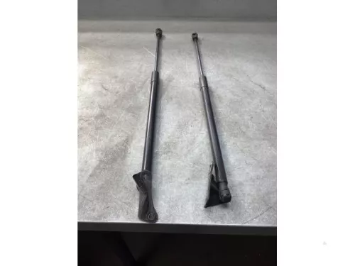 Gasdemperset Kofferdeksel-8024932