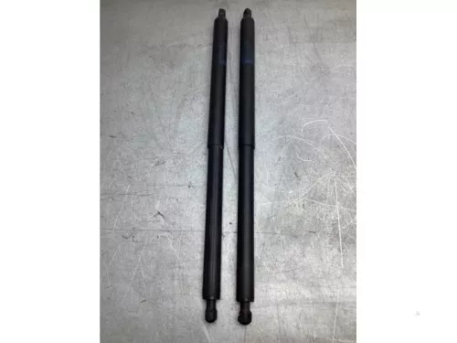 Gasdemperset Kofferdeksel-8156906