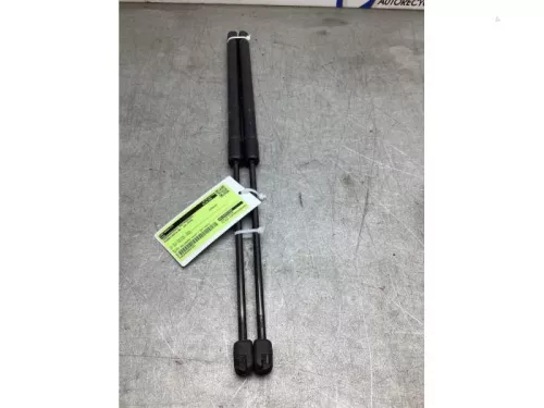 Gasdemperset Kofferdeksel-8197675