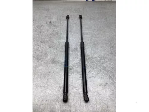 Gasdemperset Kofferdeksel-8268242