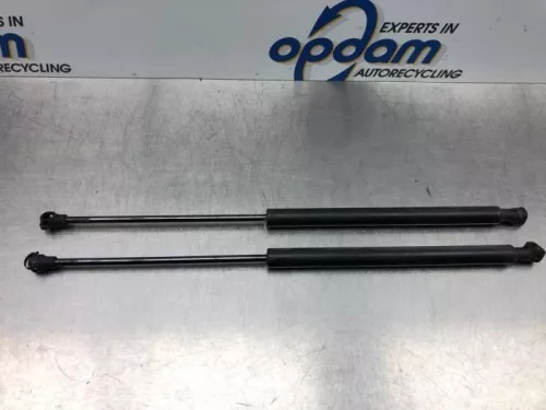 Gasdemperset Kofferdeksel-7317445