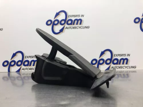 Gaspedaal-8102585
