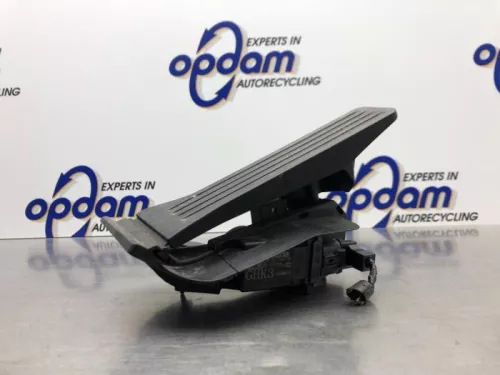 Gaspedaal-7987764