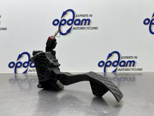 Gaspedaal-8269556