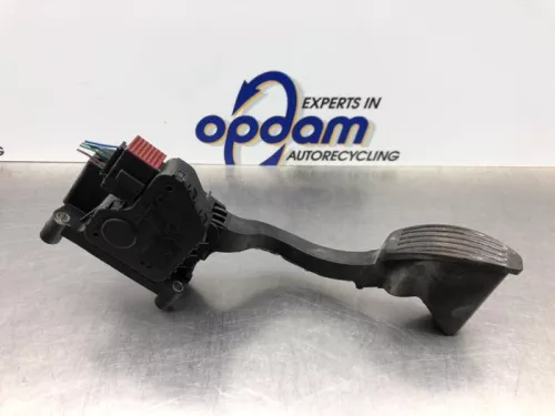 Gaspedaal-8216792