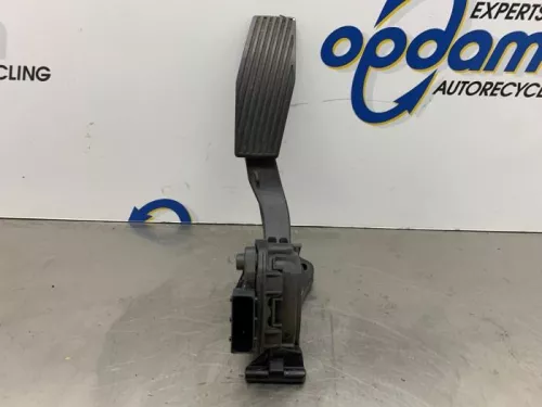 Gaspedaal-8226985