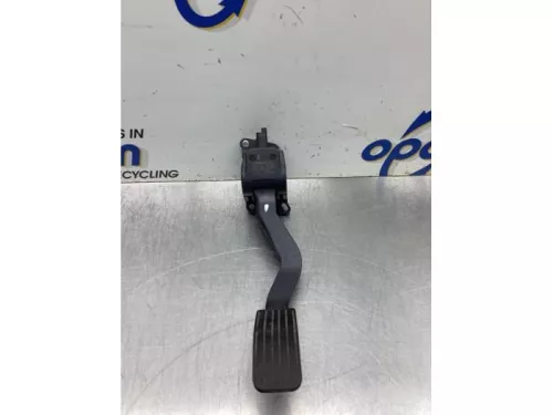 Gaspedaal-8079548