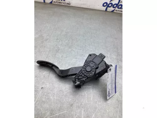 Gaspedaalpositie Sensor-8291803