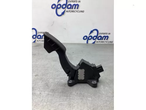 Gaspedaalpositie Sensor-8044990