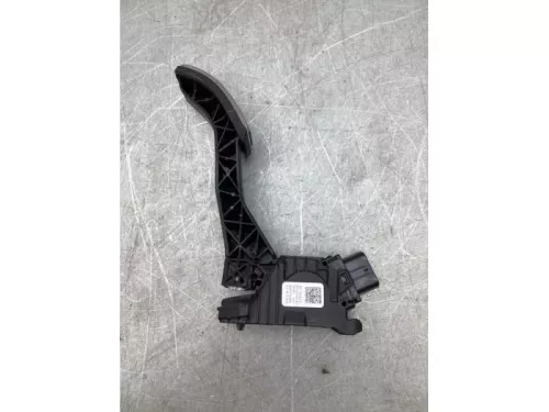 Gaspedaalpositie Sensor-8219184