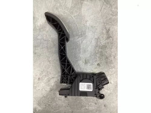 Gaspedaalpositie Sensor-8251609