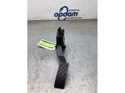 Gaspedaalpositie Sensor-8282910