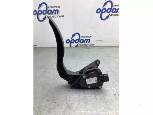 Gaspedaalpositie Sensor-8129528