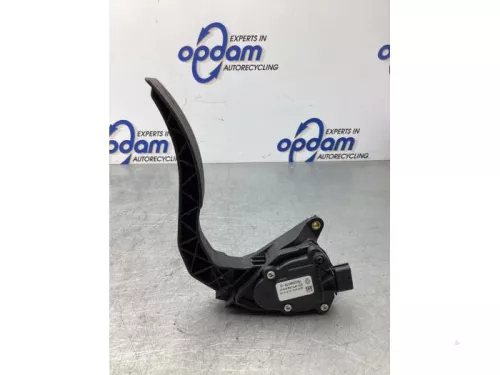 Gaspedaalpositie Sensor-8176630