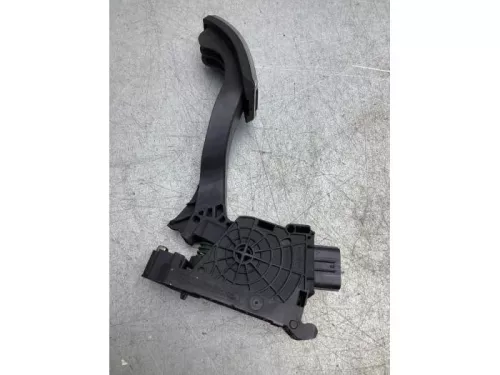 Gaspedaalpositie Sensor-7925187