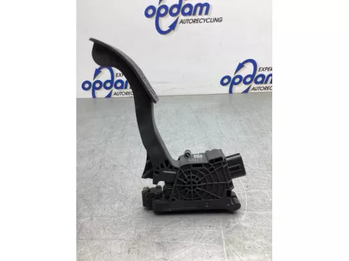 Gaspedaalpositie Sensor-8081217