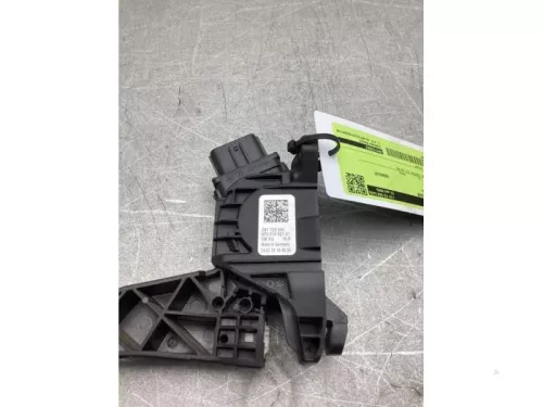 Gaspedaalpositie Sensor-8270114