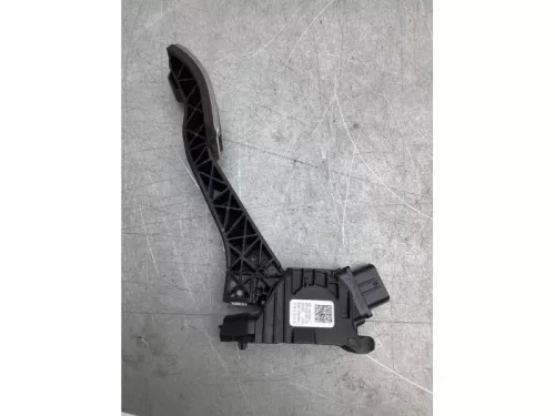 Gaspedaalpositie Sensor-8103818