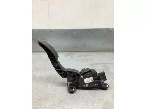 Gaspedaalpositie Sensor-8126860