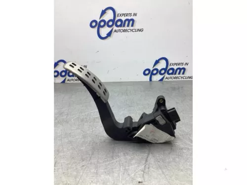 Gaspedaalpositie Sensor-8033487