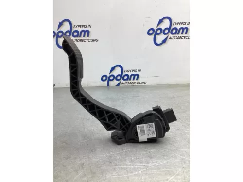 Gaspedaalpositie Sensor-8079698