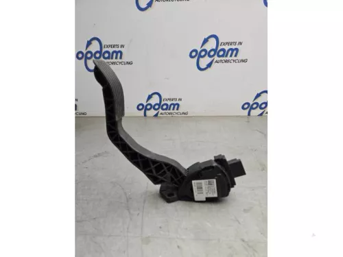Gaspedaalpositie Sensor-8079170