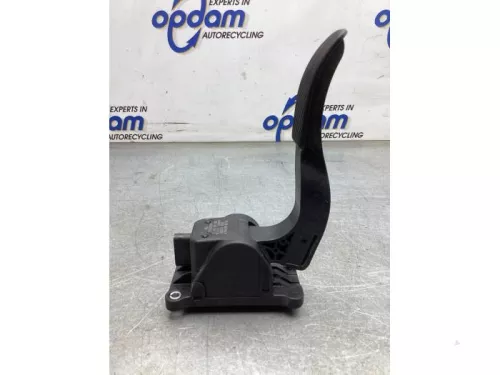 Gaspedaalpositie Sensor-8139105