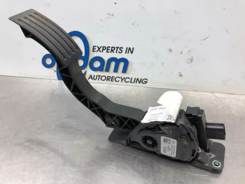 Gaspedaalpositie Sensor-7324233