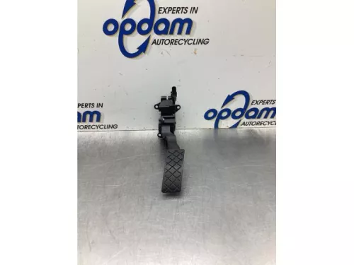 Gaspedaalpositie Sensor-8031487