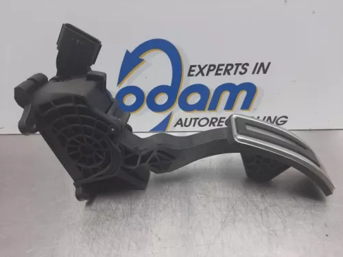 Gaspedaalpositie Sensor-7714575