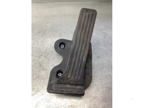 Gaspedaalpositie Sensor-7848809