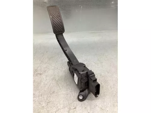 Gaspedaalpositie Sensor-7862882