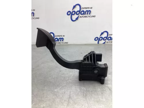 Gaspedaalpositie Sensor-8024852