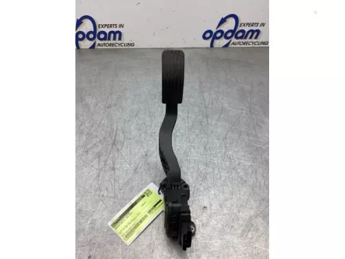 Gaspedaalpositie Sensor-8197743