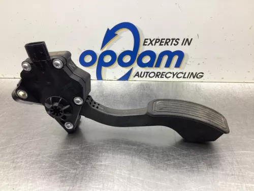 Gaspedaalpositie Sensor-8066128