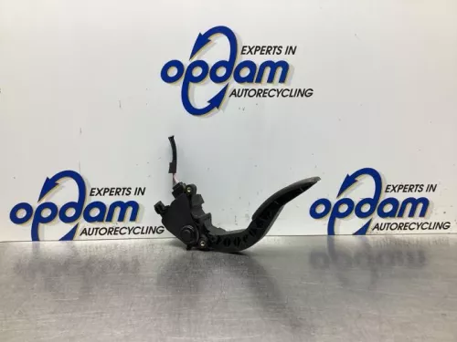 Gaspedaalpositie Sensor-7928929