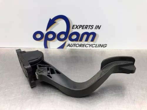 Gaspedaalpositie Sensor-8192076