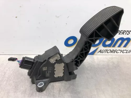 Gaspedaalpositie Sensor-6923503