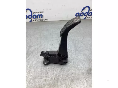 Gaspedaalpositie Sensor-8171269