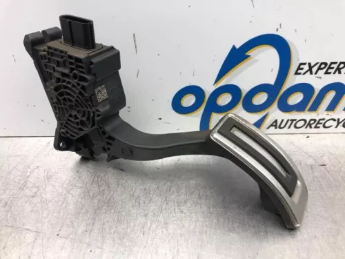 Gaspedaalpositie Sensor-7608824