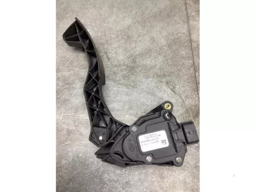 Gaspedaalpositie Sensor-8044612
