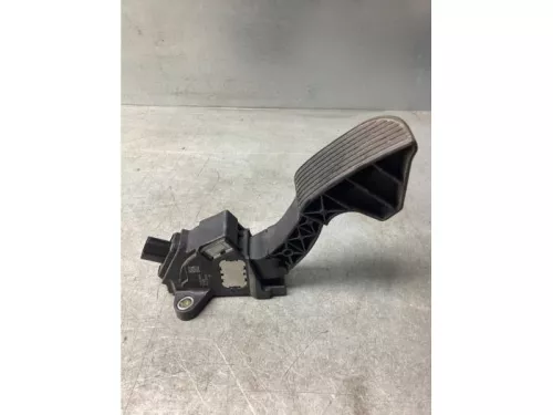 Gaspedaalpositie Sensor-8073479