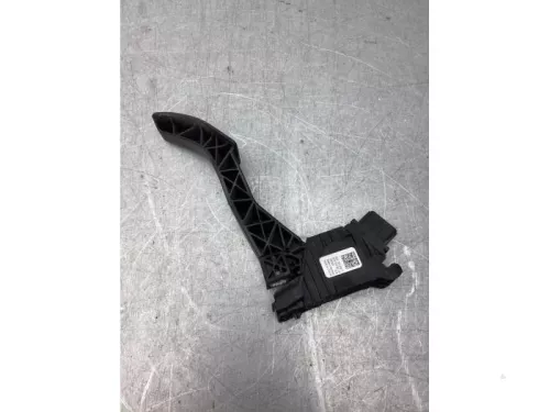 Gaspedaalpositie Sensor-8102213