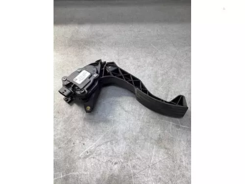 Gaspedaalpositie Sensor-8079124