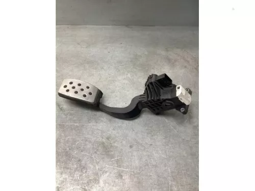 Gaspedaalpositie Sensor-8180176