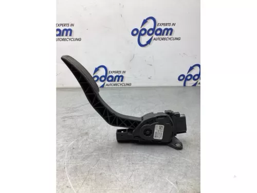 Gaspedaalpositie Sensor-8075323