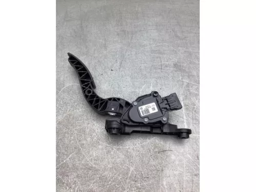 Gaspedaalpositie Sensor-8125529